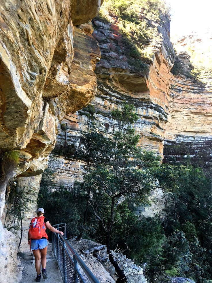 Blue Mountains National Park, red backpack, narrow cliffside path, SD Phone Wallpaper