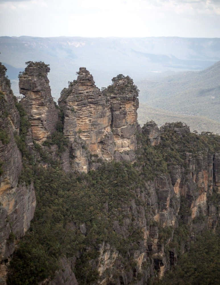 Blue Mountains National Park, sandstone pillars, lush green valley, SD Phone Wallpaper