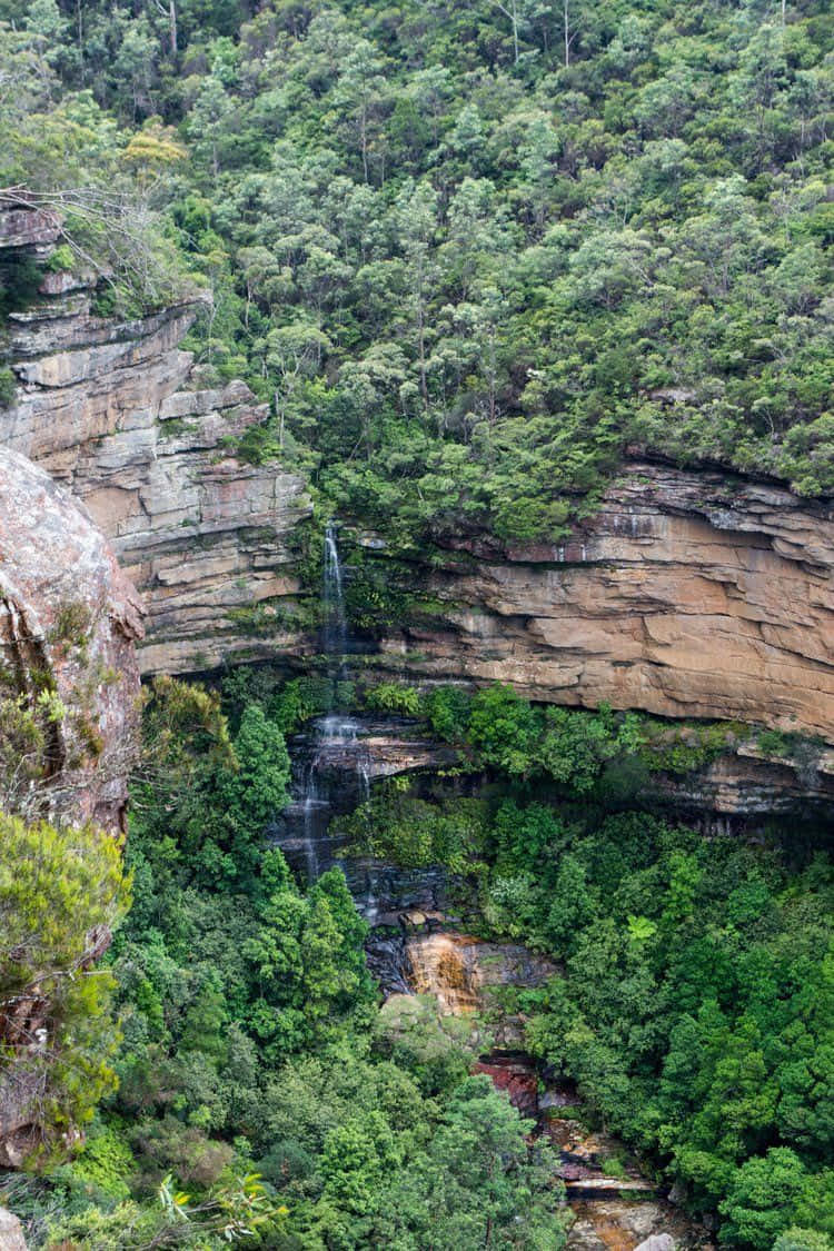 Blue Mountains National Park, sandstone cliffs, narrow waterfall, SD Phone Wallpaper