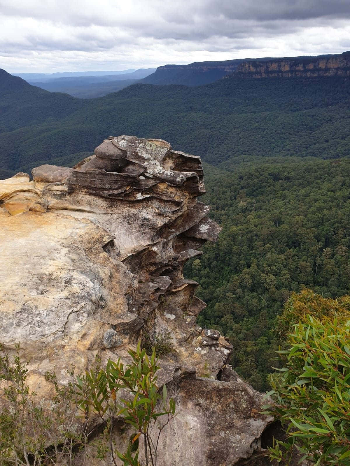Blue Mountains National Park, rugged cliff edge, vast green valley, HD Phone Wallpaper