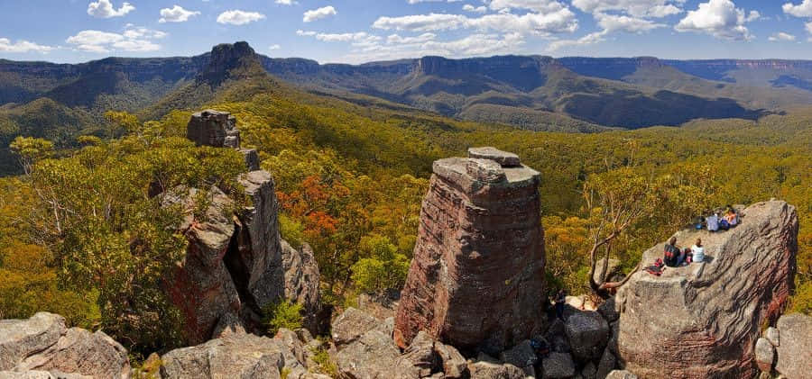 Blue Mountains National Park, rugged rock formations, lush green forests, SD Desktop Wallpaper