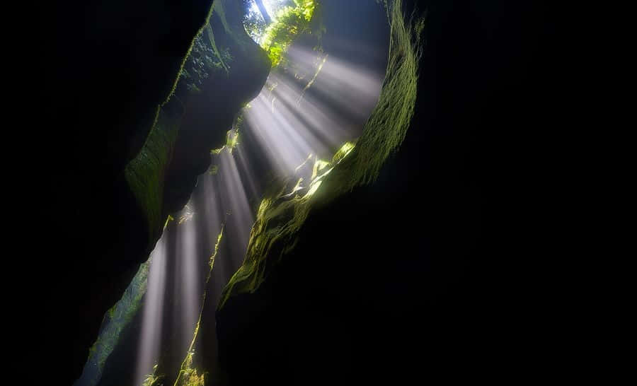 Blue Mountains National Park, sunlight beams, mossy cave ceiling, SD Desktop Wallpaper