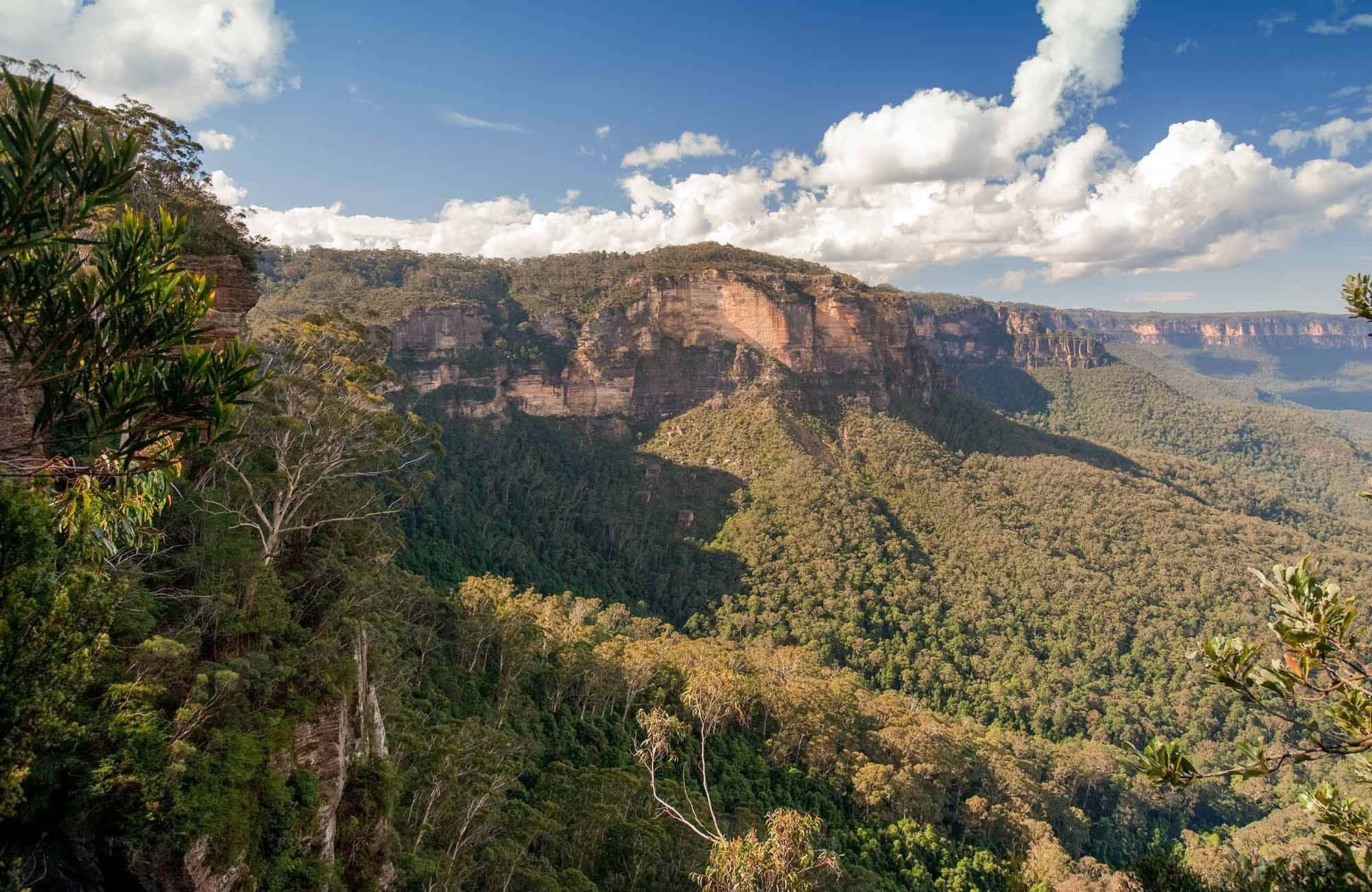 Blue Mountains National Park, vast canyon, towering cliffs, Full HD Desktop Wallpaper