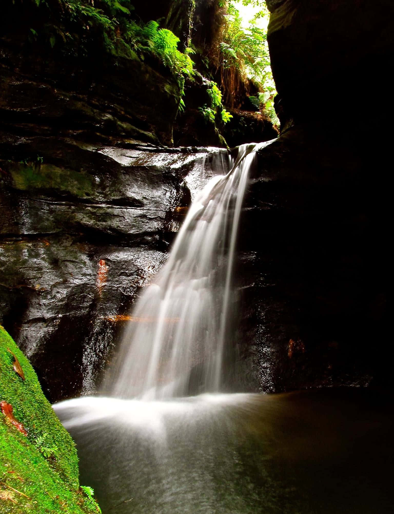 Blue Mountains National Park, waterfall, mossy rocky gorge, Full HD Phone Wallpaper