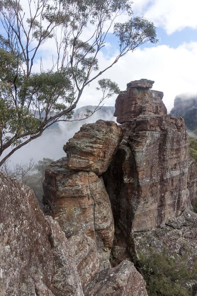 Blue Mountains National Park, rugged rock formation, mist, SD Phone Wallpaper