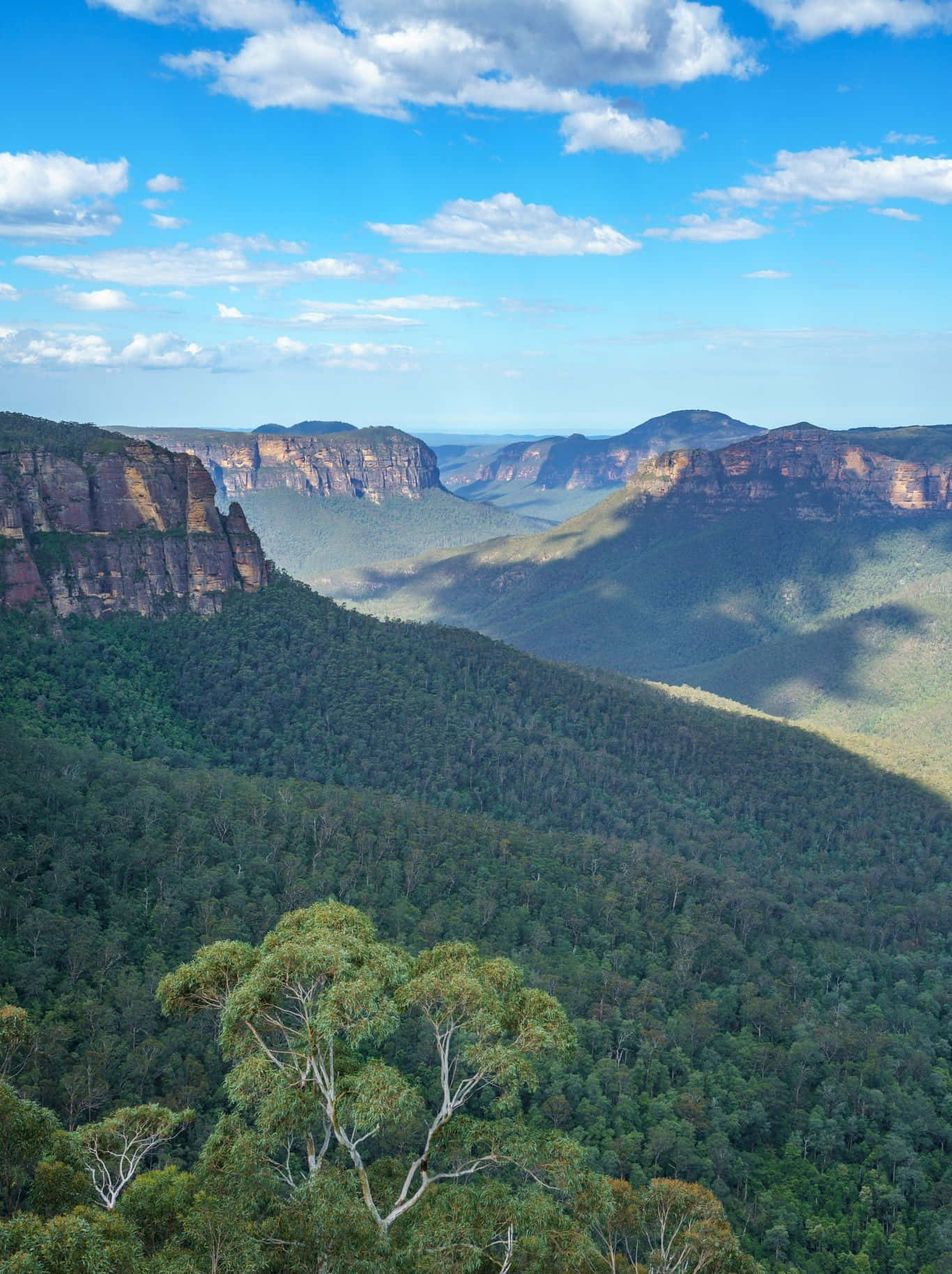 Blue Mountains National Park, red rock cliffs, lush green valleys, HD Phone Wallpaper