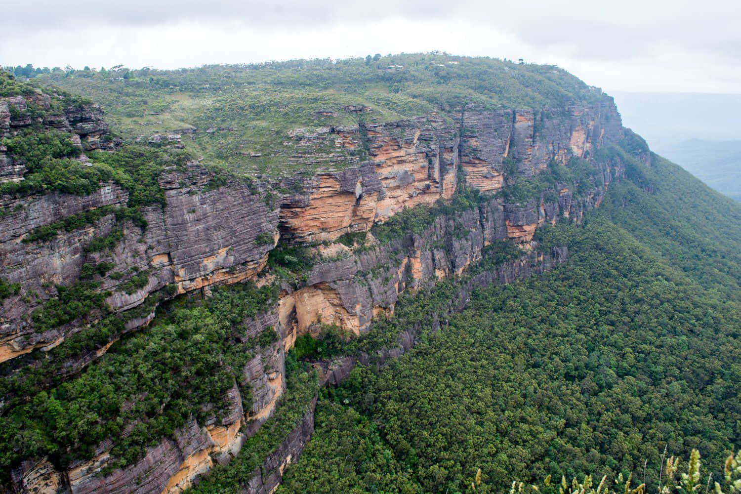 Blue Mountains National Park, cliff face, layered rock formations, HD Desktop Wallpaper