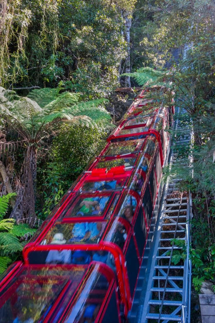 Blue Mountains National Park, red glass-sided cable car, lush green forest, SD Phone Wallpaper