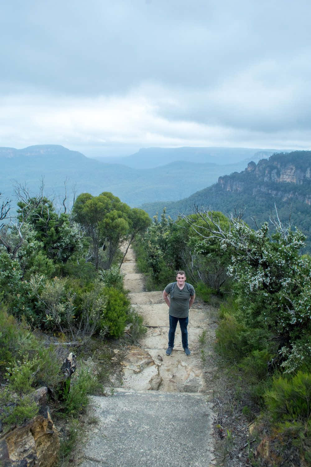 Blue Mountains National Park, stone path, lush greenery, HD Phone Wallpaper