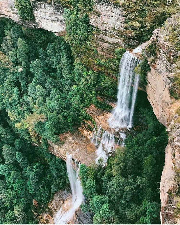 Blue Mountains National Park, waterfall, lush green forest, SD Phone Wallpaper