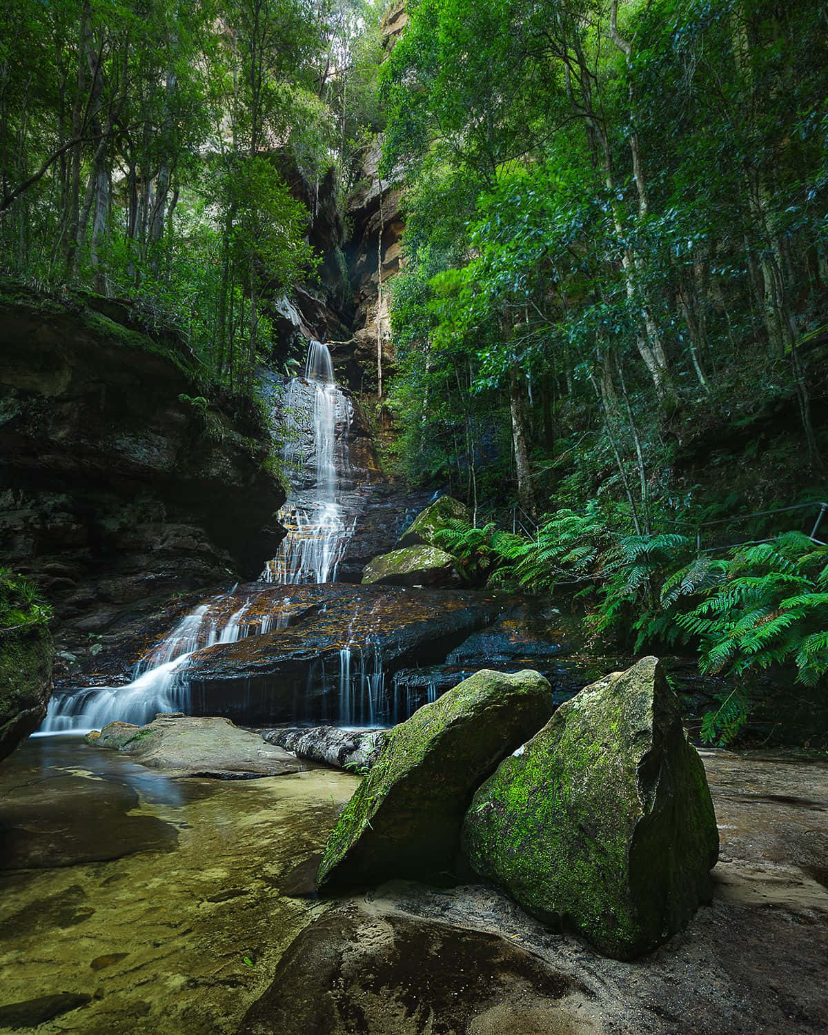 Blue Mountains National Park, waterfall, mossy rocks, HD Phone Wallpaper