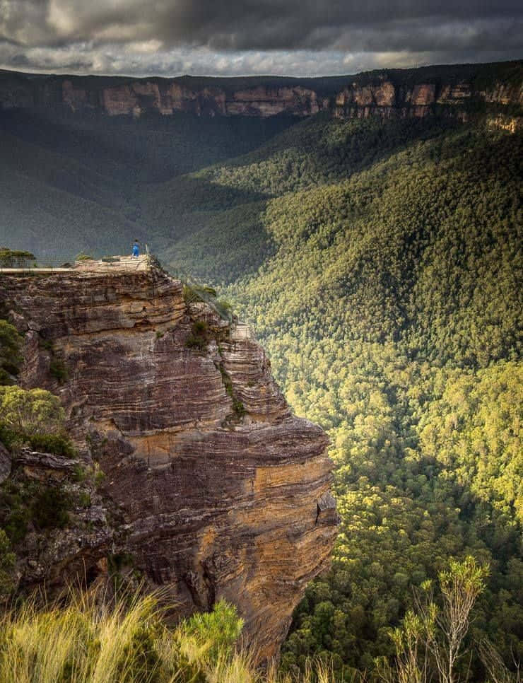 Blue Mountains National Park, rugged cliff edge, vast green valley, SD Phone Wallpaper