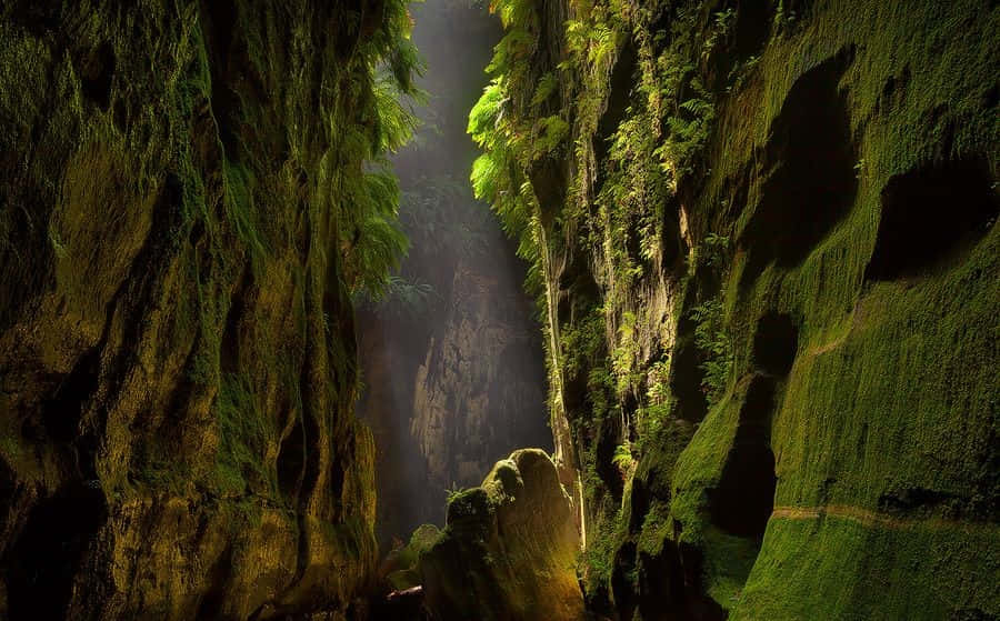 Blue Mountains National Park, sunlight beams, narrow canyon, SD Desktop Wallpaper
