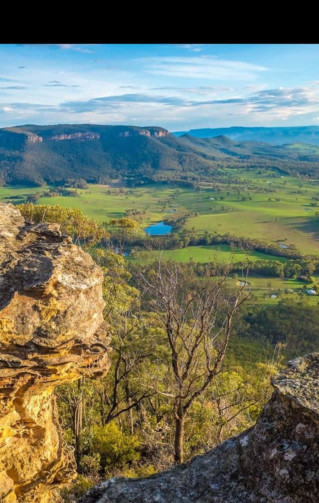 Blue Mountains National Park, rocky cliff, lush green valley, SD Phone Wallpaper