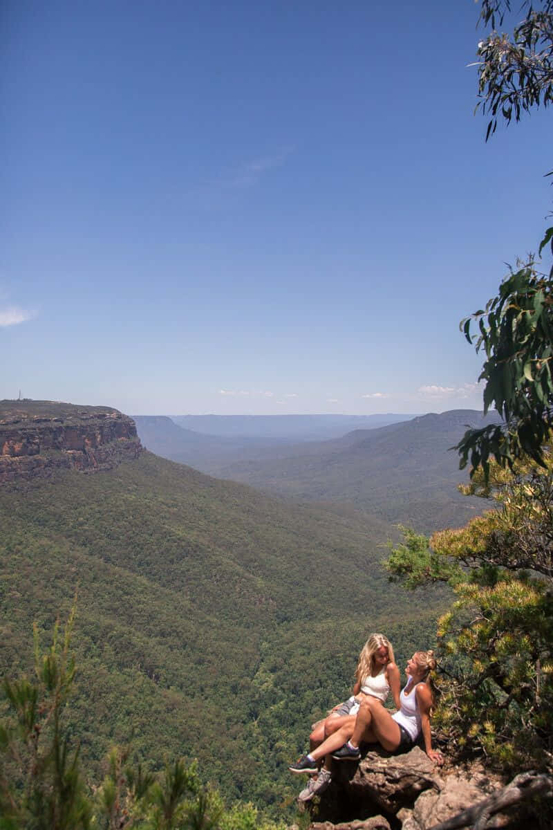 Blue Mountains National Park, rocky cliff edge, vast green valley, SD Phone Wallpaper