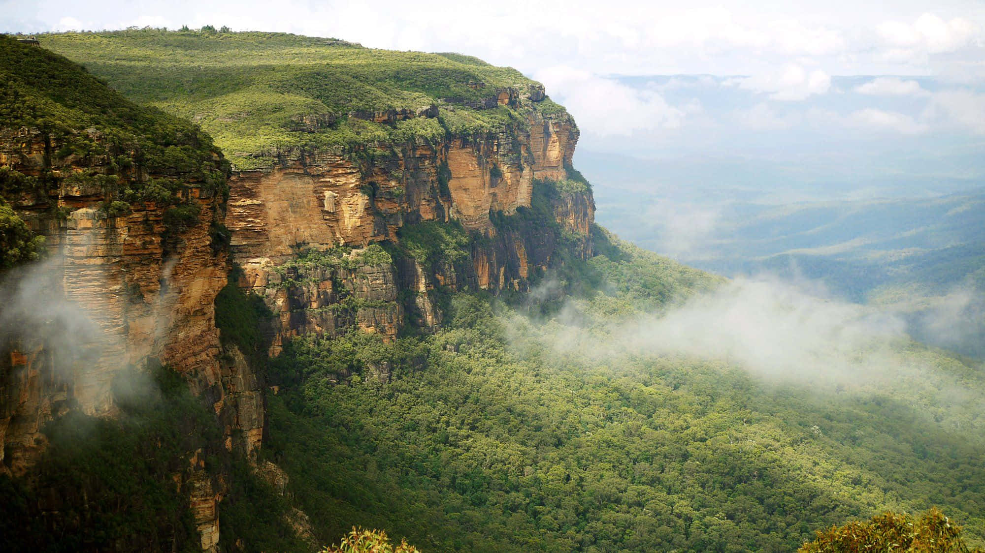 Blue Mountains National Park, cliff face, misty valley, Full HD Desktop Wallpaper