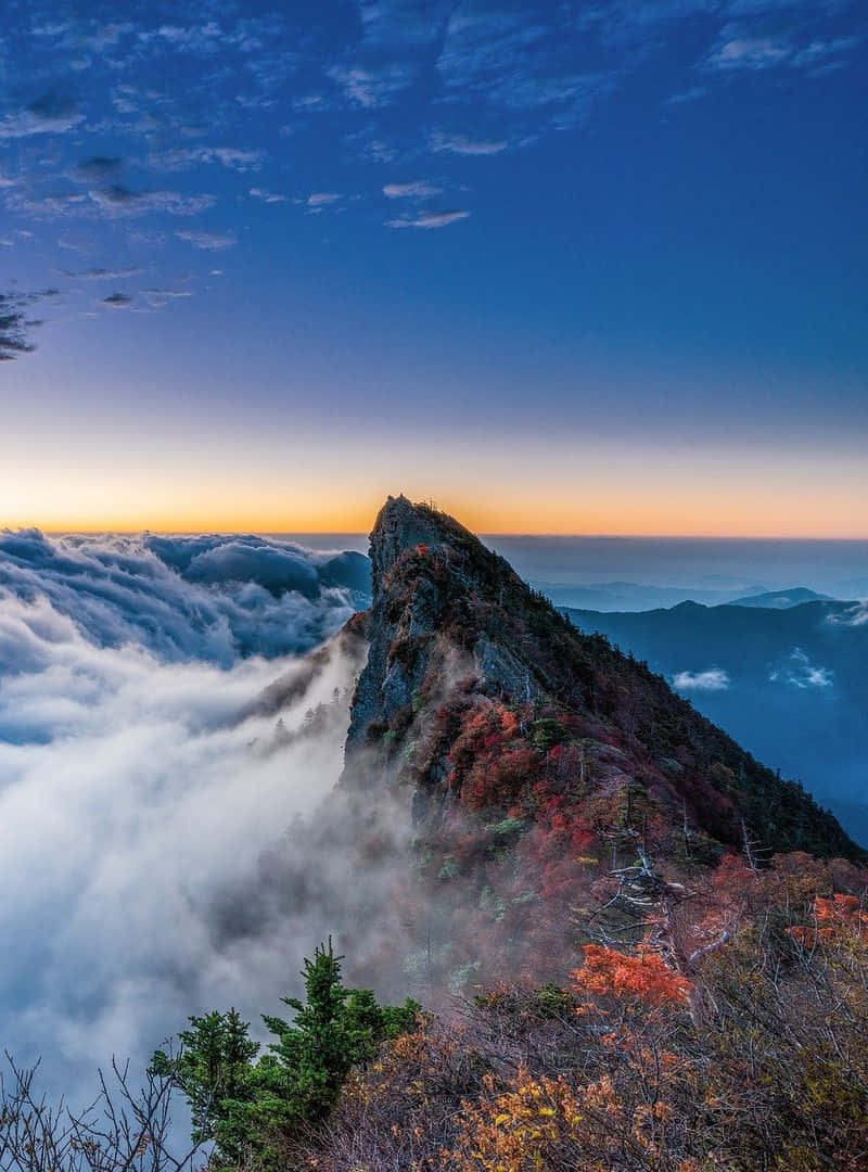 Blue Mountains National Park, sunrise, jagged mountain peak, SD Phone Wallpaper
