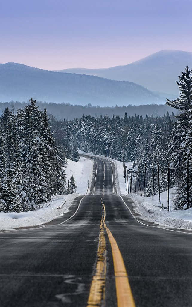 Blue Mountains, winter road, snow-covered evergreen forests, SD Phone Wallpaper