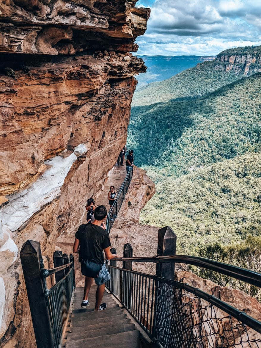 Blue Mountains, red sandstone cliff, wooden staircase, SD Phone Wallpaper