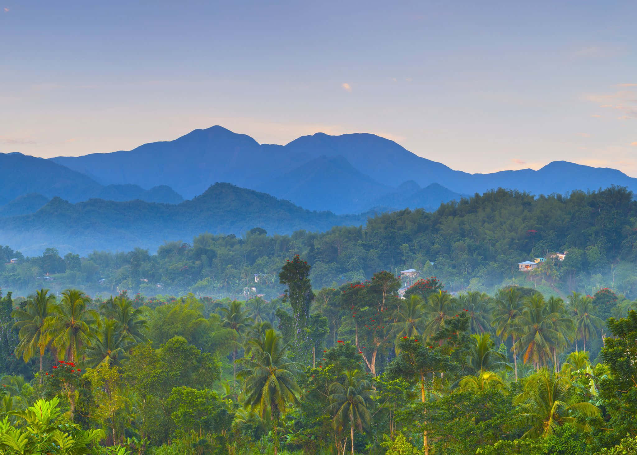 Blue Mountains, Sunset, lush green palm trees, Full HD Desktop Wallpaper