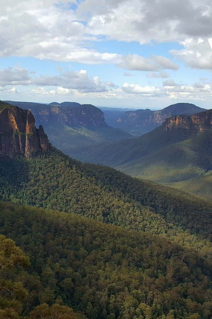 Blue Mountains, red rock cliffs, green forest valley, SD Phone Wallpaper