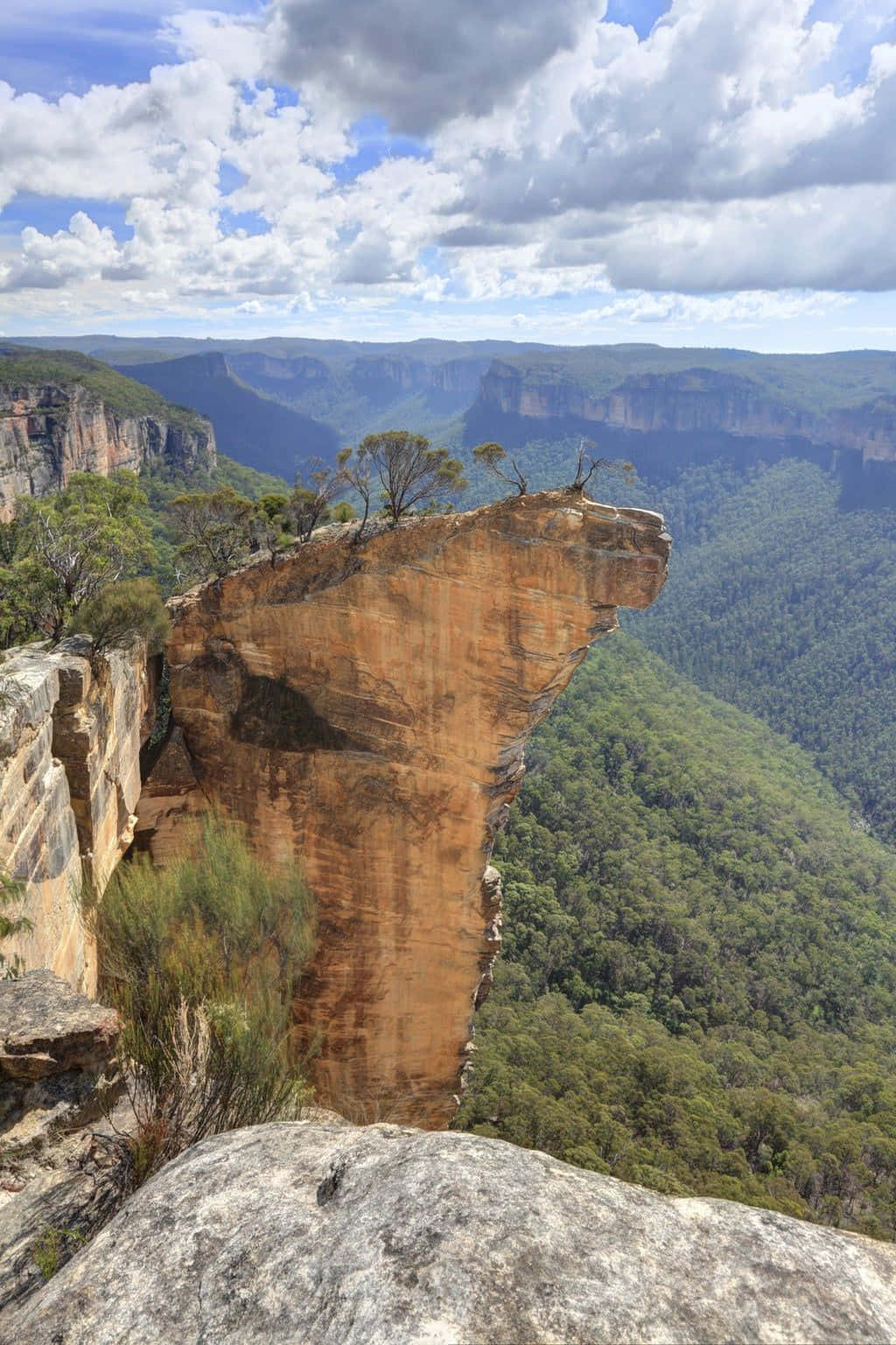 Blue Mountains, orange sandstone, lush green valley, HD Phone Wallpaper