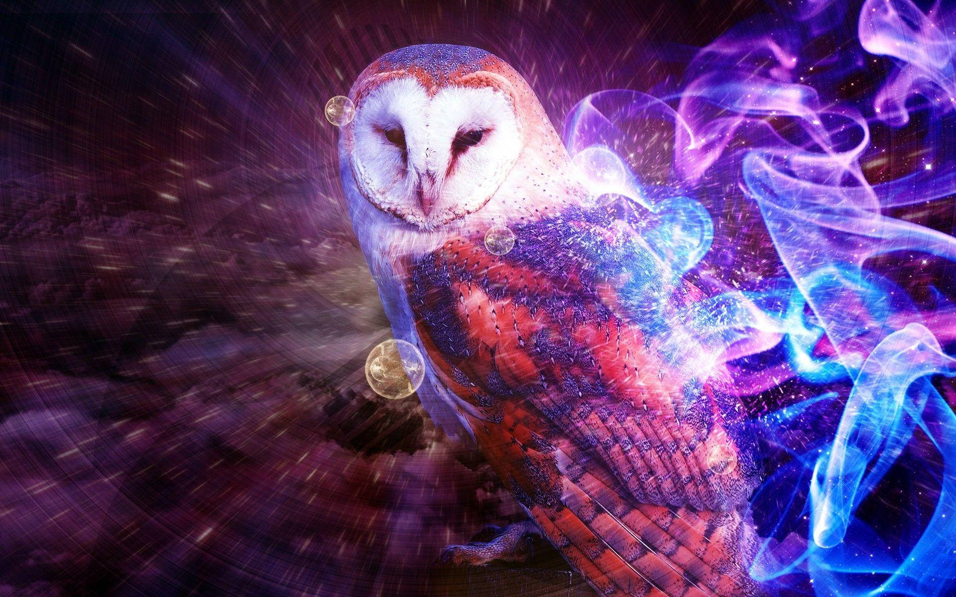 Blue Owl Light, barn owl, glowing eyes, Full HD Desktop Wallpaper
