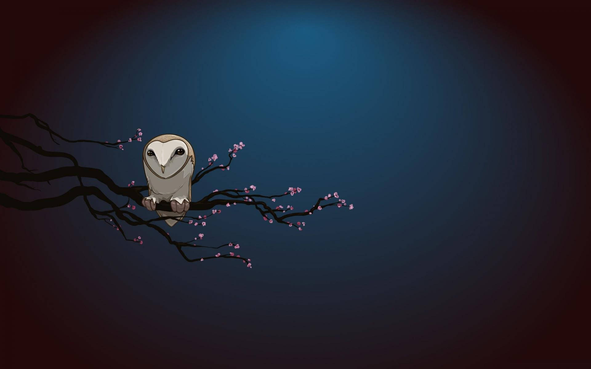 Blue Owl, barn owl, blossoming cherry branch, Full HD Desktop Wallpaper