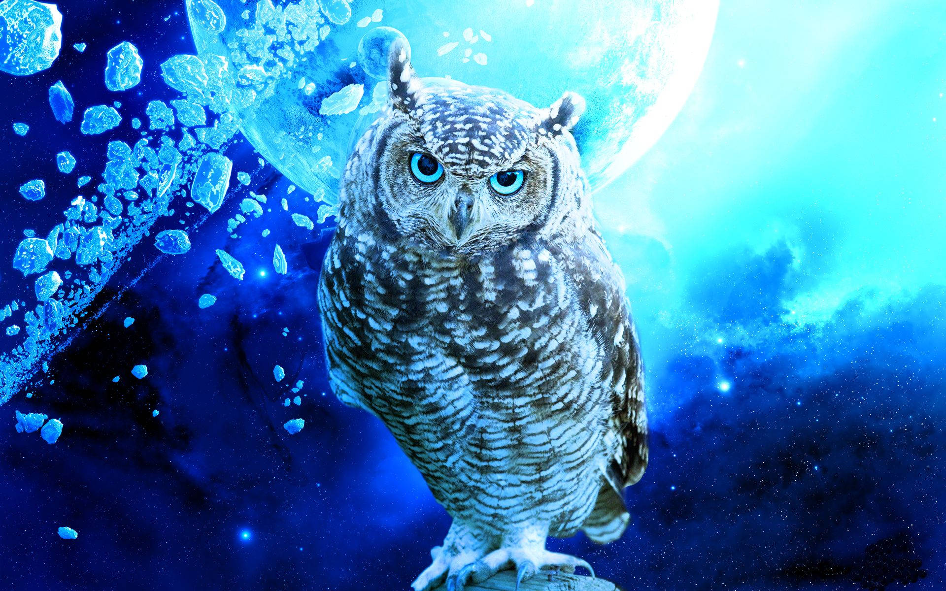 Blue Owl, piercing blue eyes, cosmic backdrop, Full HD Desktop Wallpaper