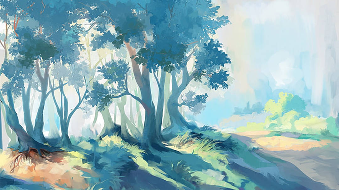 sunny forest, blue-green trees, sunlit path, SD Desktop Wallpaper
