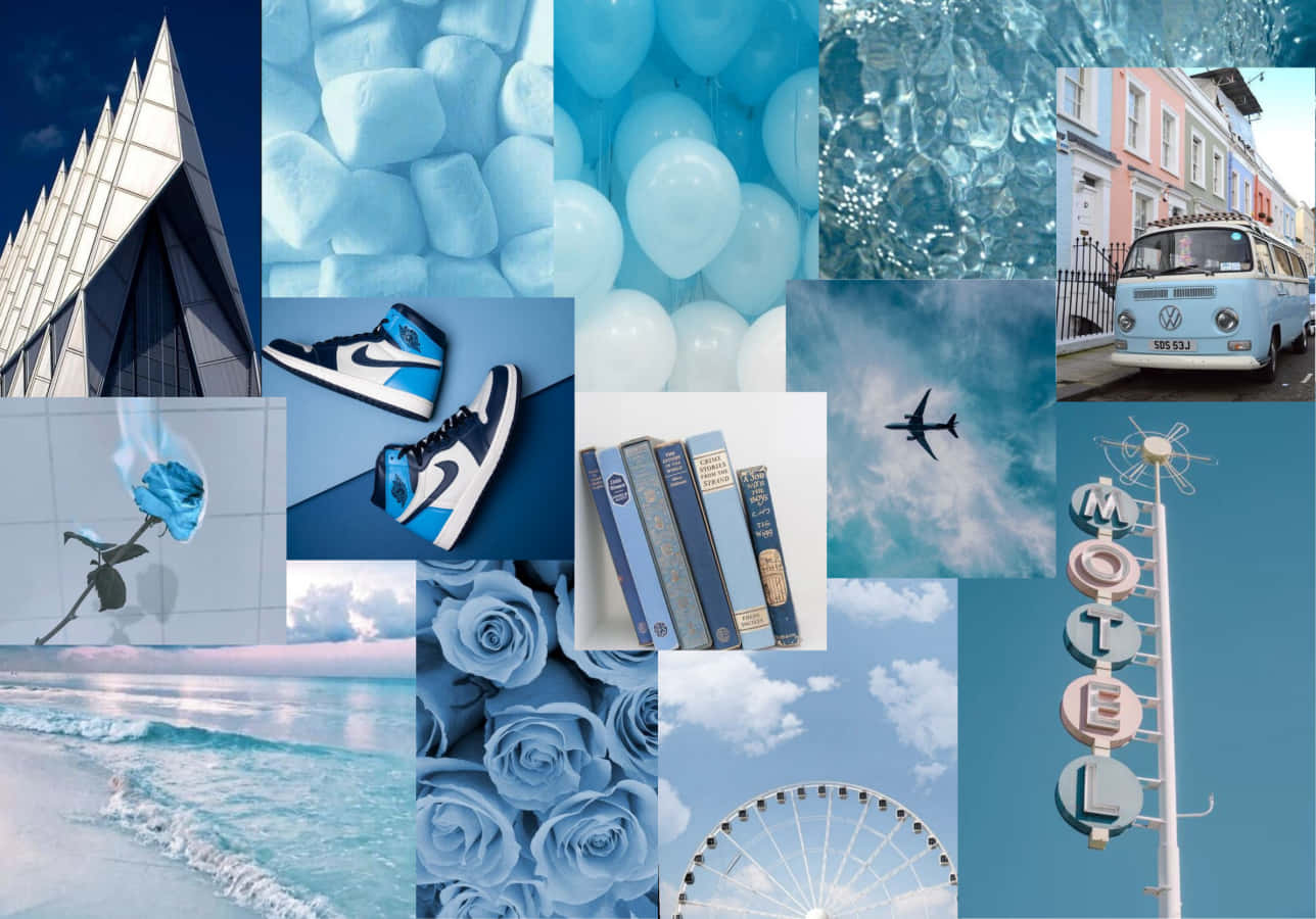 blue roses, sneakers, balloons, HD Desktop Wallpaper
