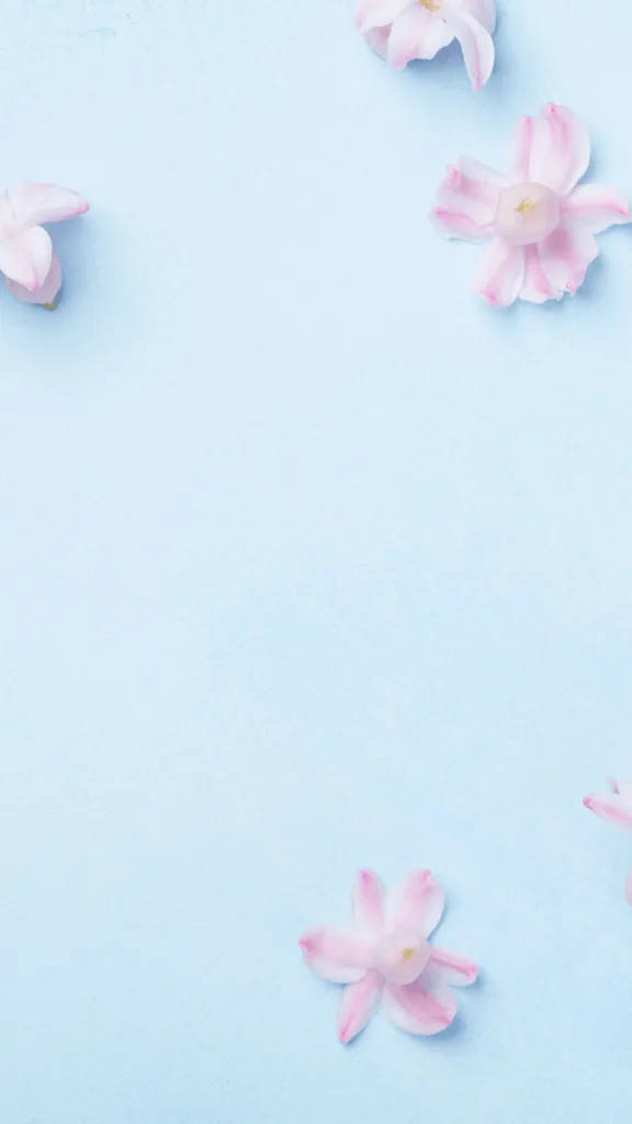 cute blue phone, pink flowers, soft pink cherry blossoms, SD Phone Wallpaper