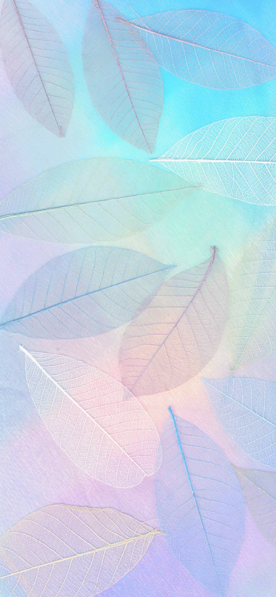 Blue Pastel Aesthetic, rainbow leaves, translucent leaves, Full HD Phone Wallpaper