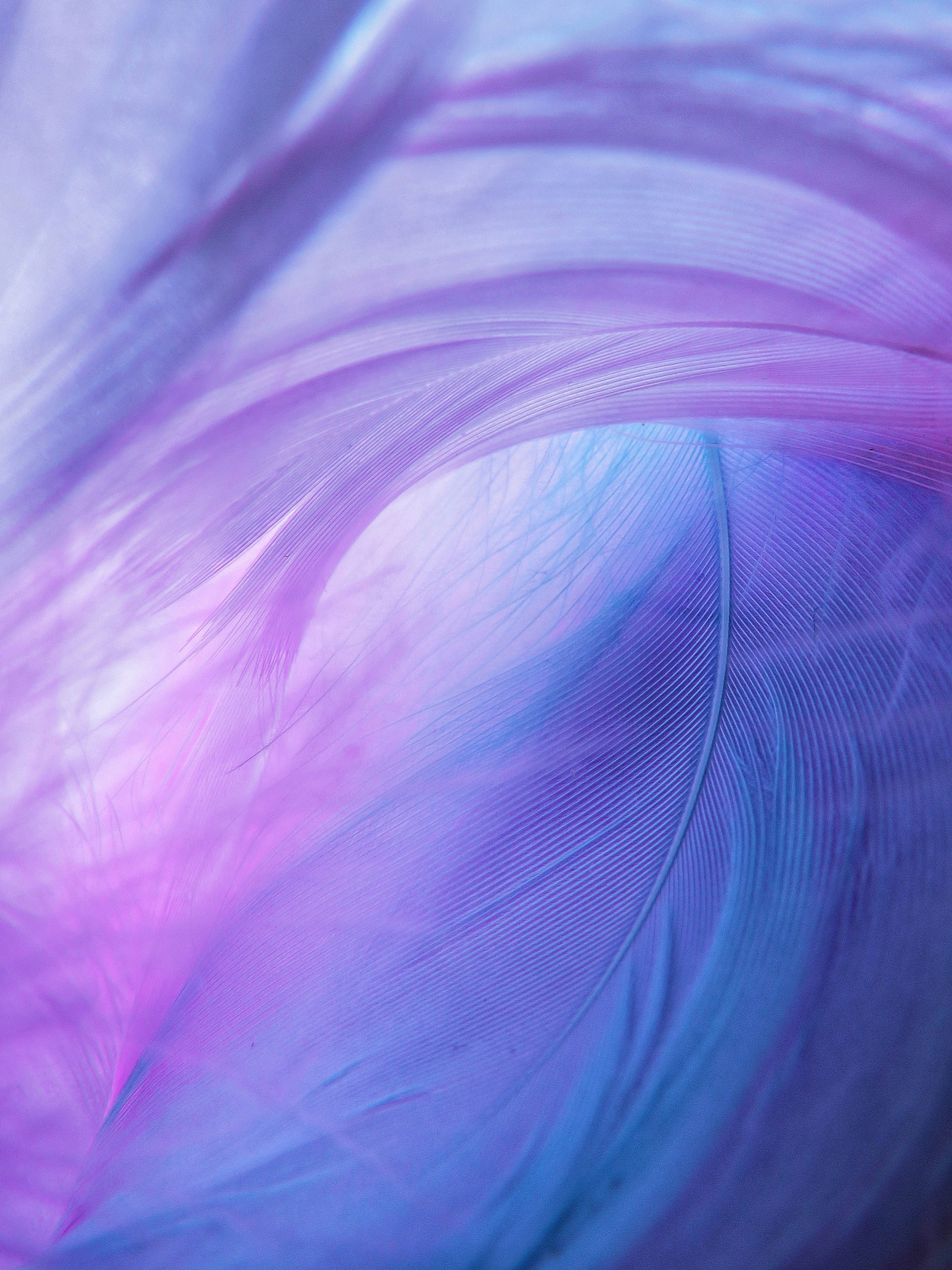 Pastel 4K Anni Eoenkae, soft purple and blue feathers, dreamy gradient, 4K Phone Wallpaper