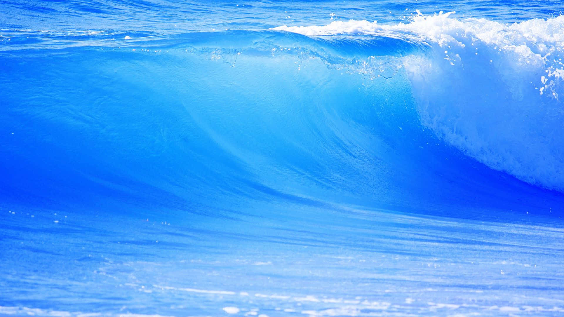 turquoise ocean wave, white foam cresting, bright sunlight, Full HD Desktop Wallpaper