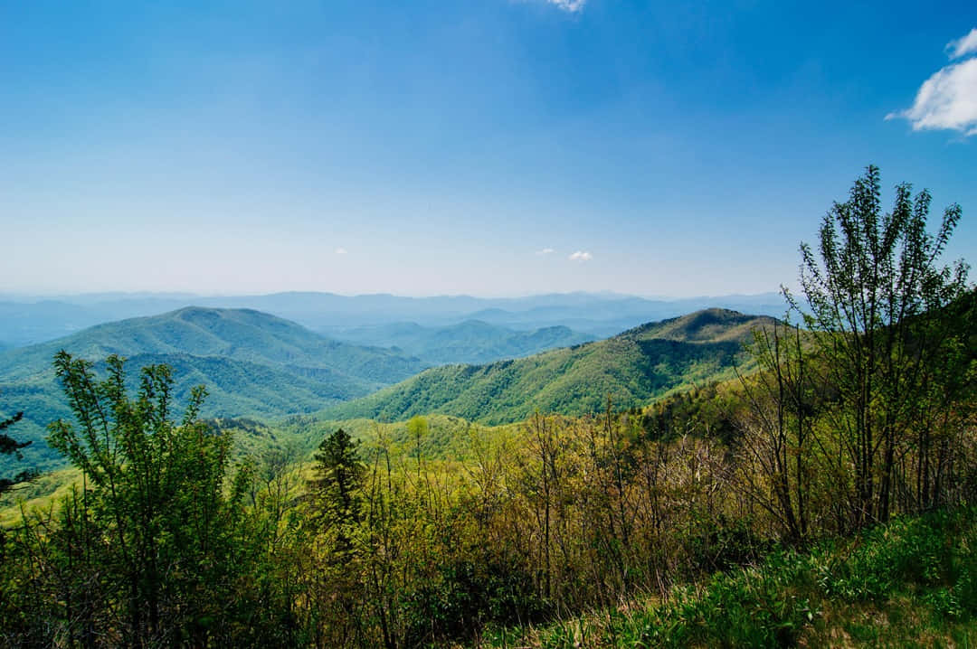 Blue Ridge Mountains, rolling green mountains, clear blue sky, SD Desktop Wallpaper