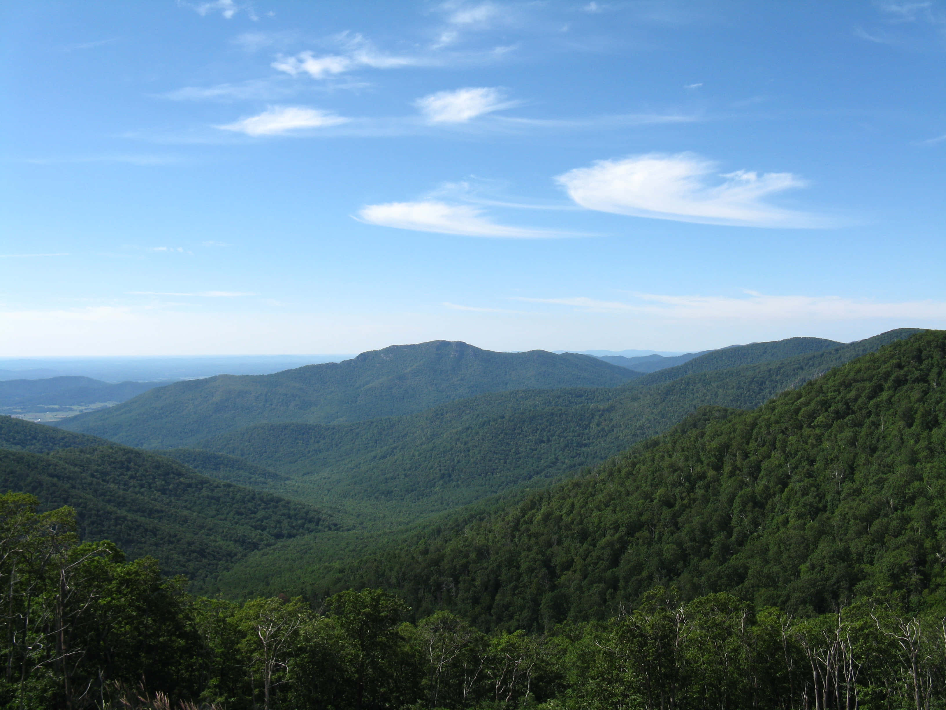 Blue Ridge Mountains, autumn, rolling forested mountains, 2K Desktop Wallpaper