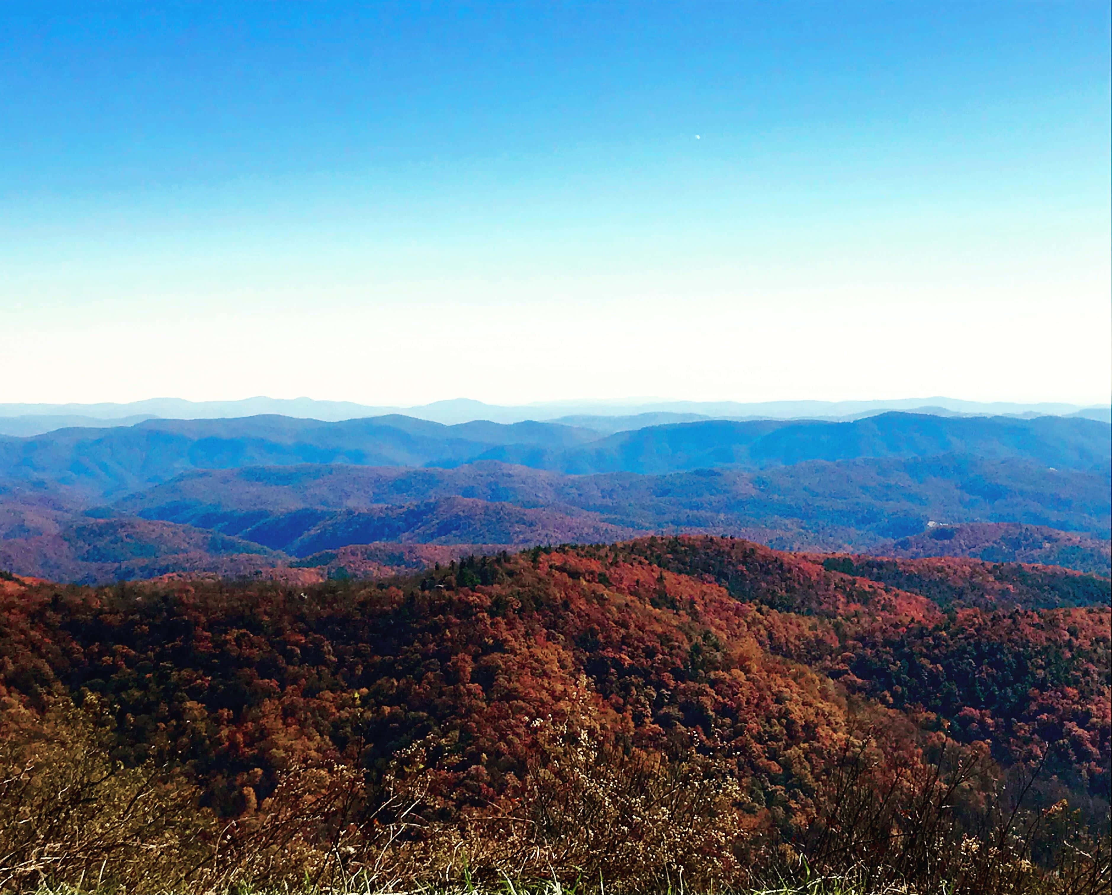 Blue Ridge Mountains, fiery autumn foliage, clear blue sky, 2K Desktop Wallpaper