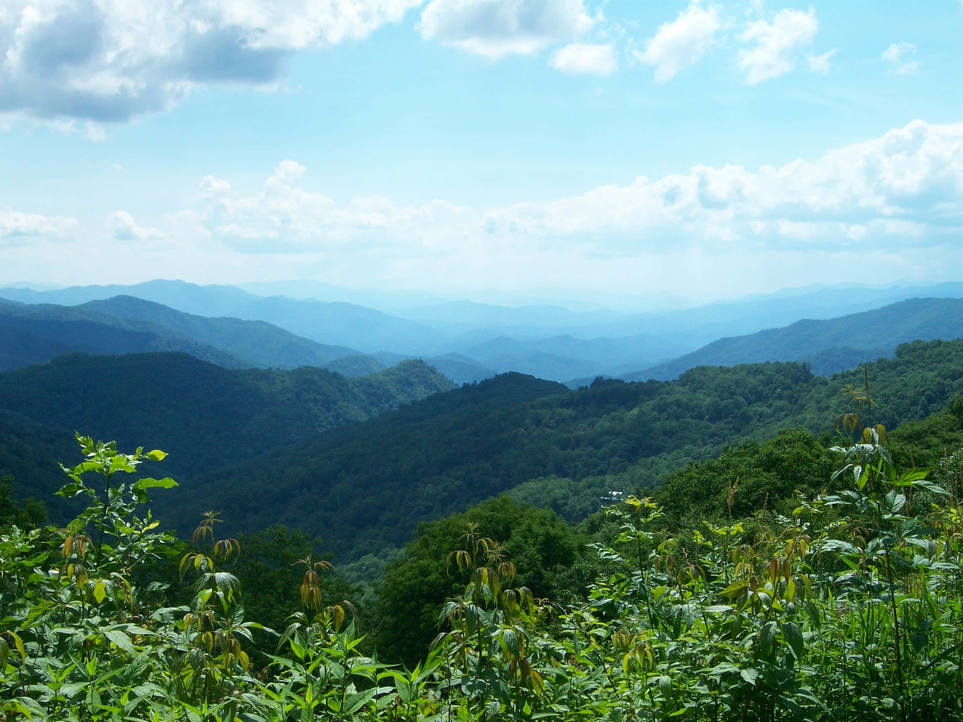 Blue Ridge Mountains, bright blue sky, fluffy white clouds, 2K Desktop Wallpaper