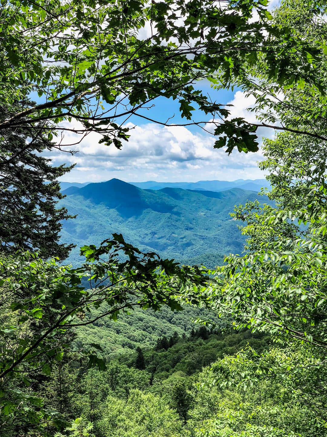 Blue Ridge Mountains, lush green forest, rolling blue mountains, HD Phone Wallpaper