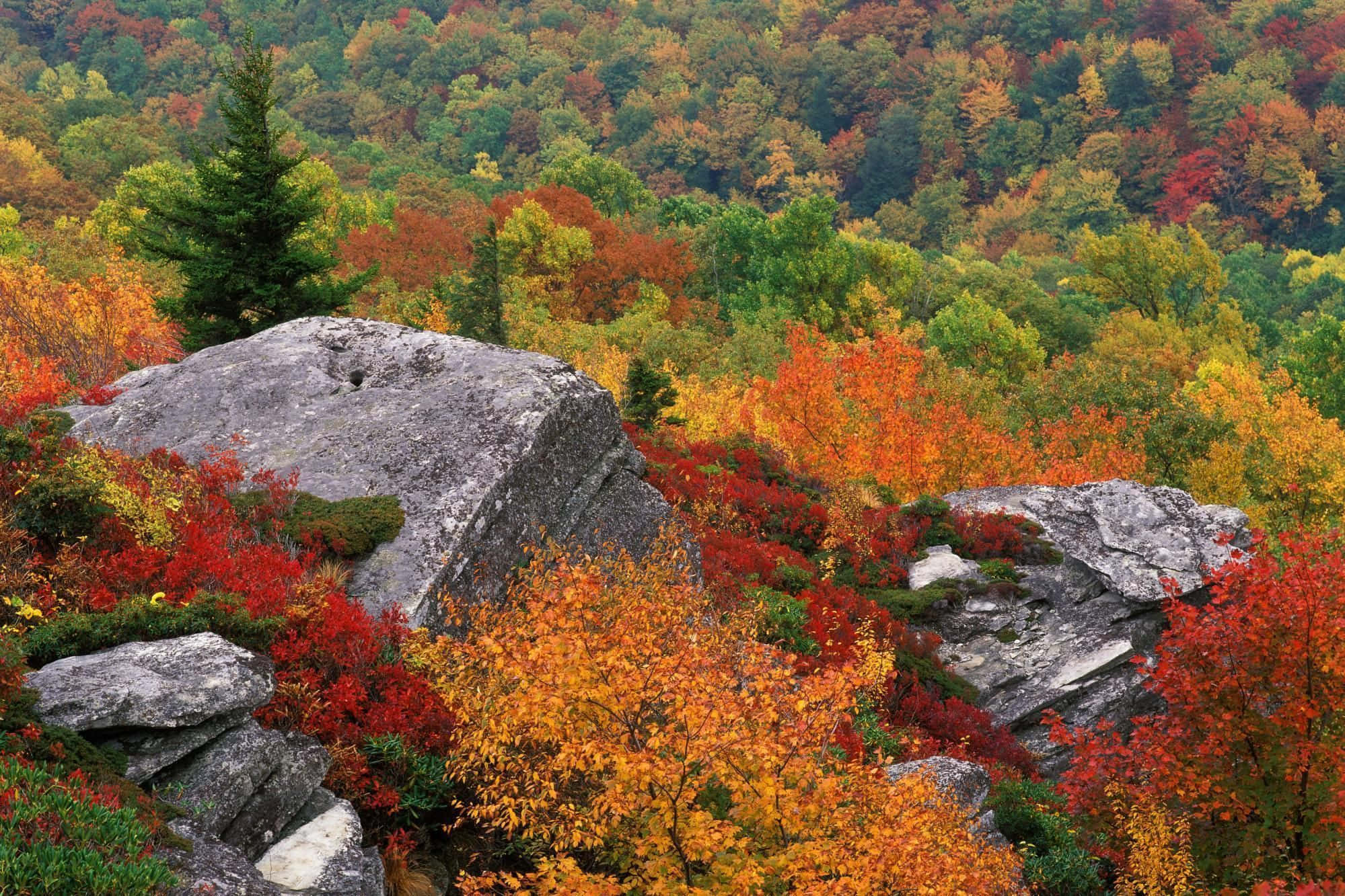 Blue Ridge Mountains, autumn forest, rocky outcrops, Full HD Desktop Wallpaper