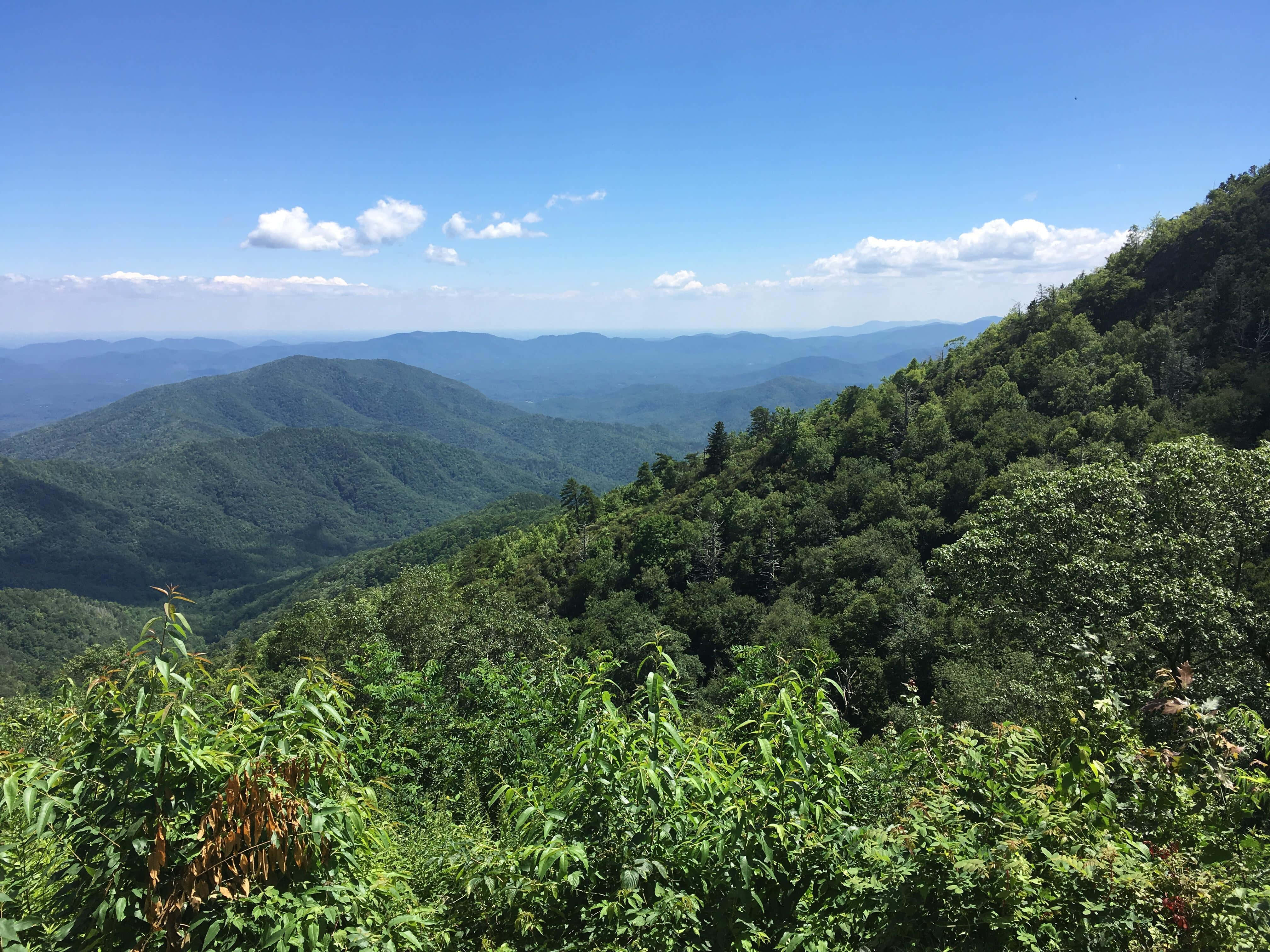 Blue Ridge Mountains, vast rolling mountain ranges, lush green forests, 4K Desktop Wallpaper