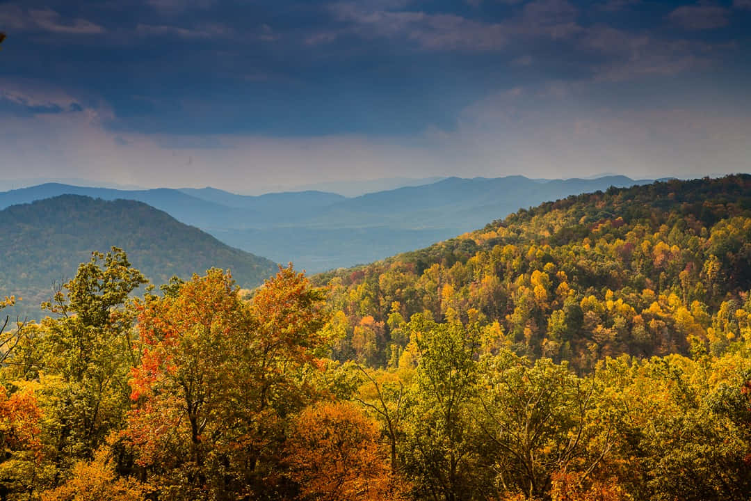Blue Ridge Mountains, autumn foliage, rolling mountains, SD Desktop Wallpaper