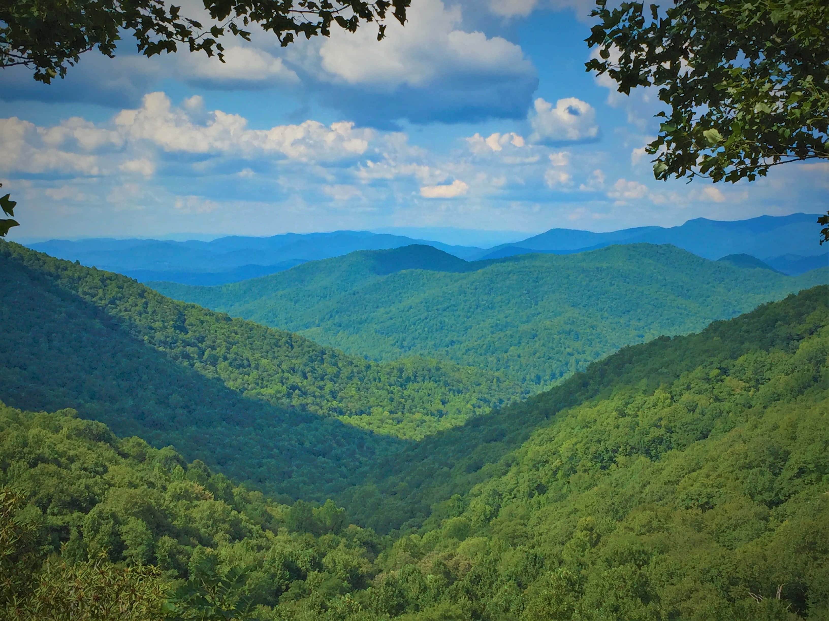 Blue Ridge Mountains, rolling green mountains, bright blue sky, 2K Desktop Wallpaper