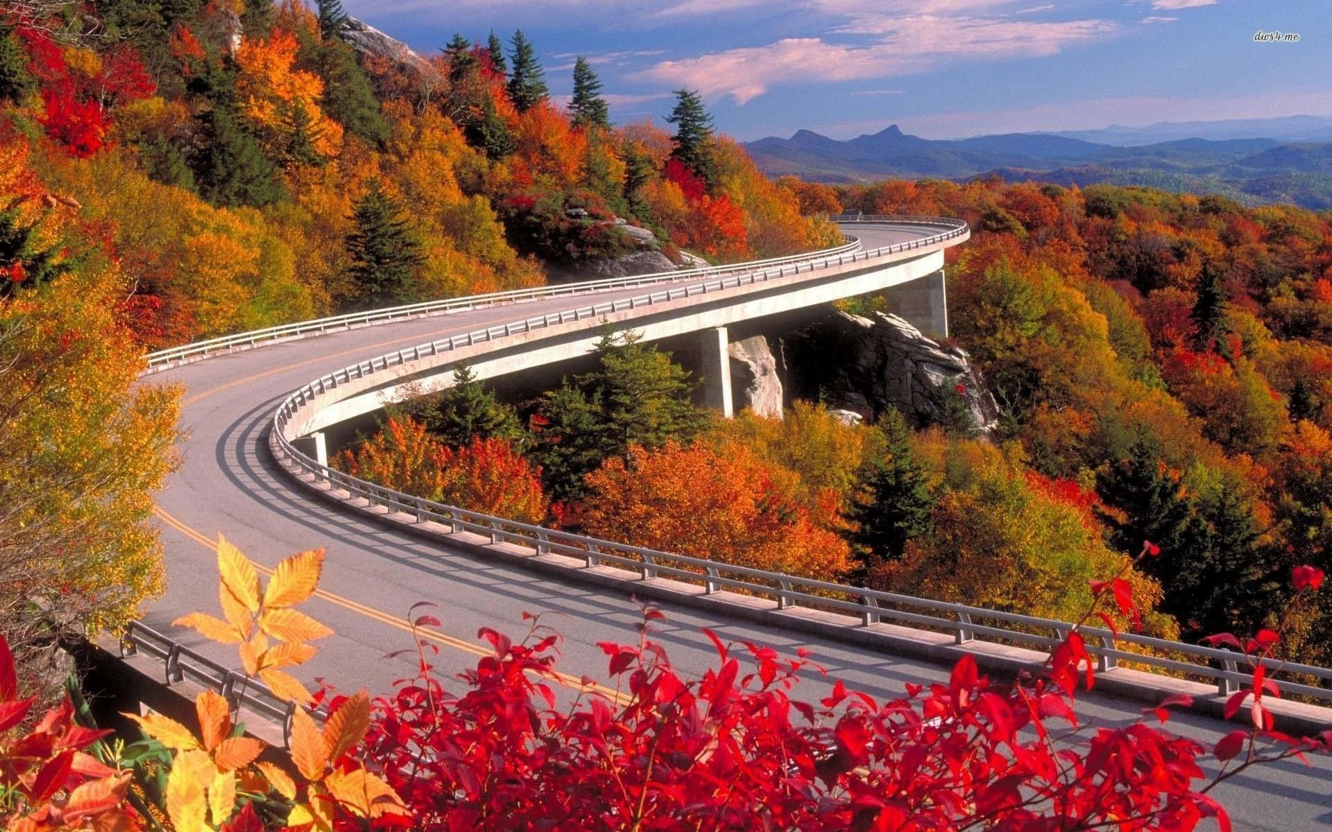 Blue Ridge Mountains, autumn forest, fiery red orange and gold foliage, Full HD Desktop Wallpaper