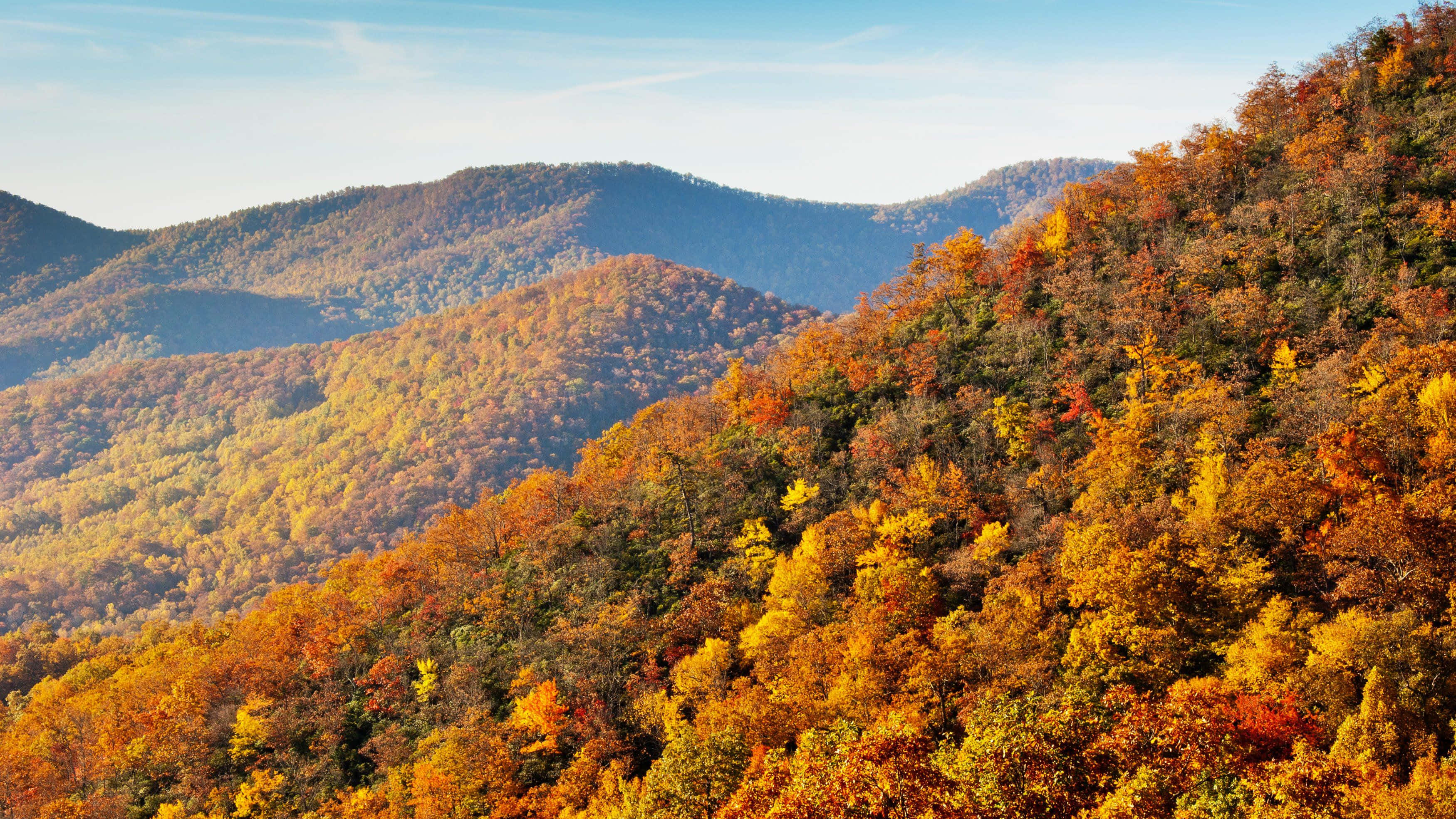 Blue Ridge Mountains, fiery autumn foliage, clear blue sky, 2K Desktop Wallpaper