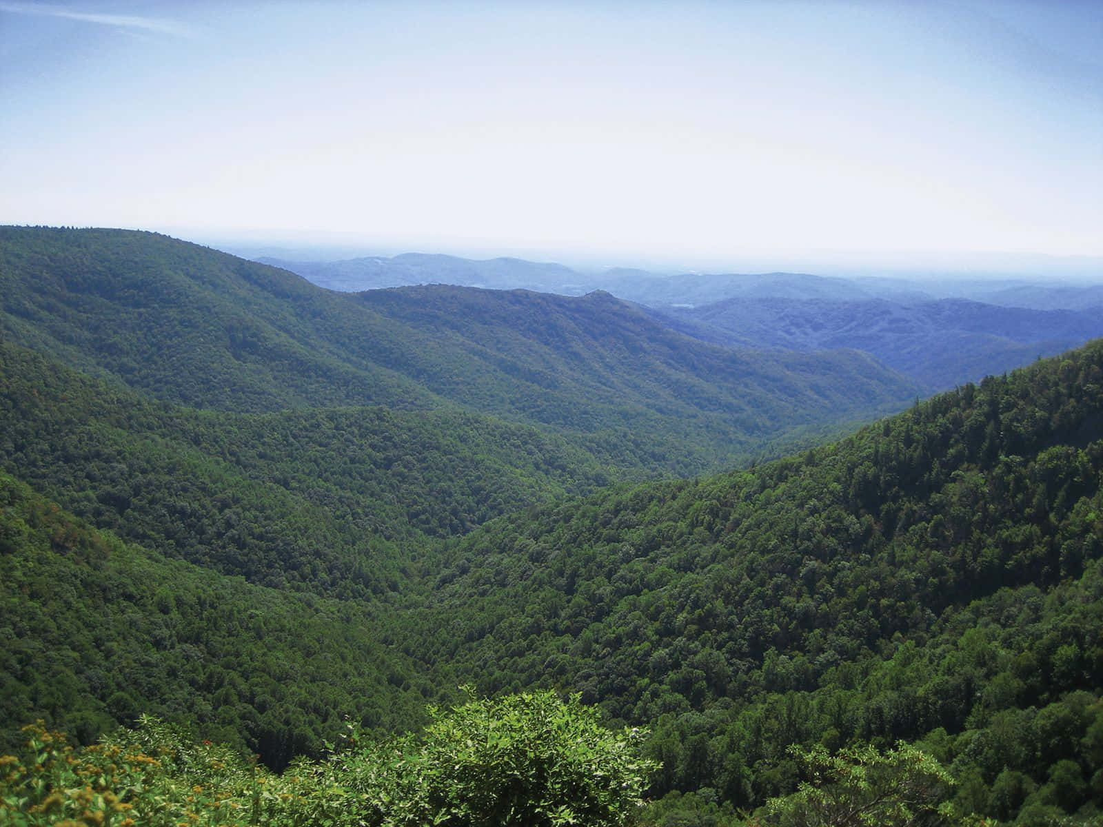 Blue Ridge Mountains, rolling forested mountains, clear blue sky, HD Desktop Wallpaper