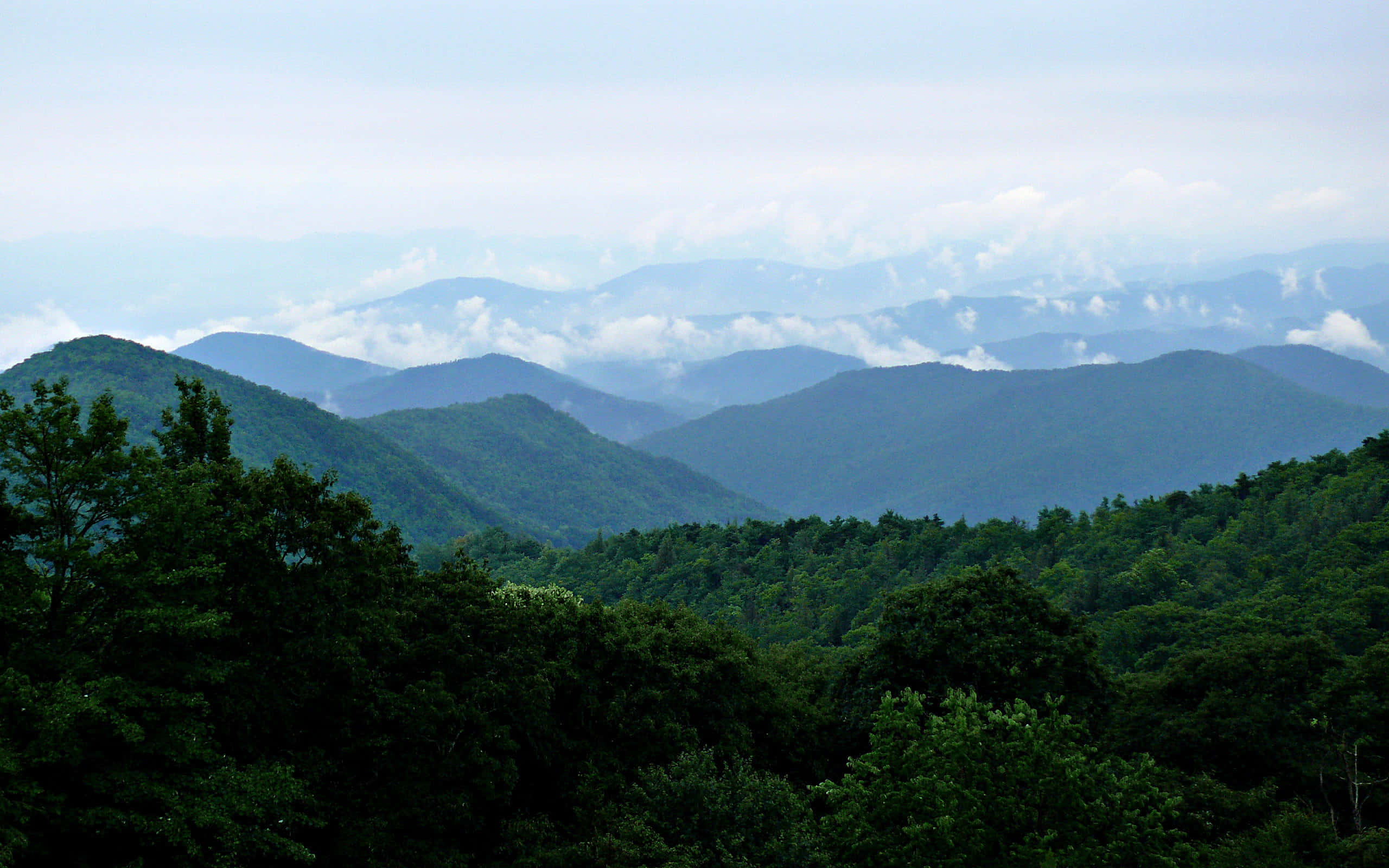 Blue Ridge Mountains, rolling forested mountains, misty blue peaks, 2K Desktop Wallpaper