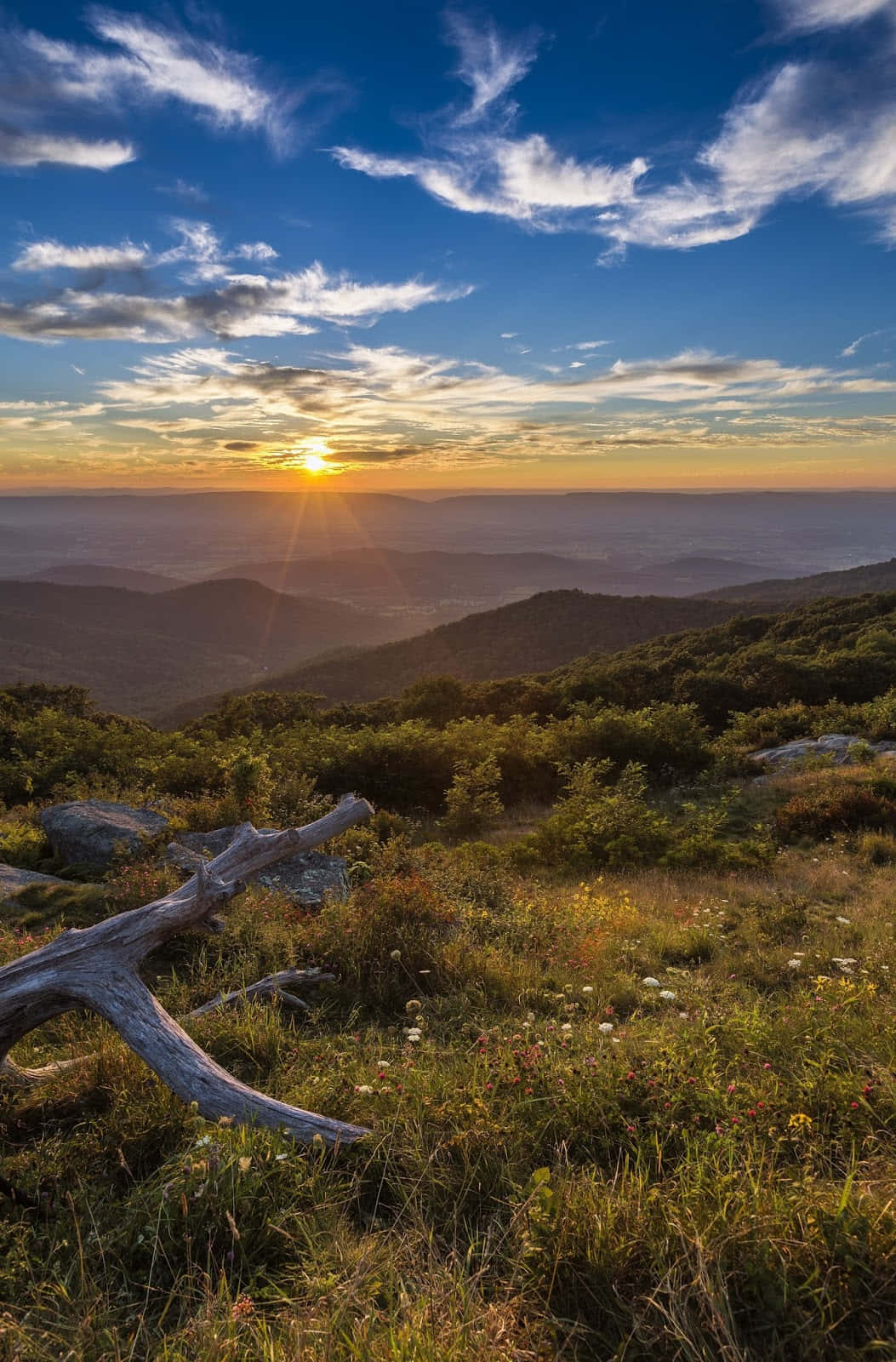Blue Ridge Mountains, Sunset, golden light, HD Phone Wallpaper