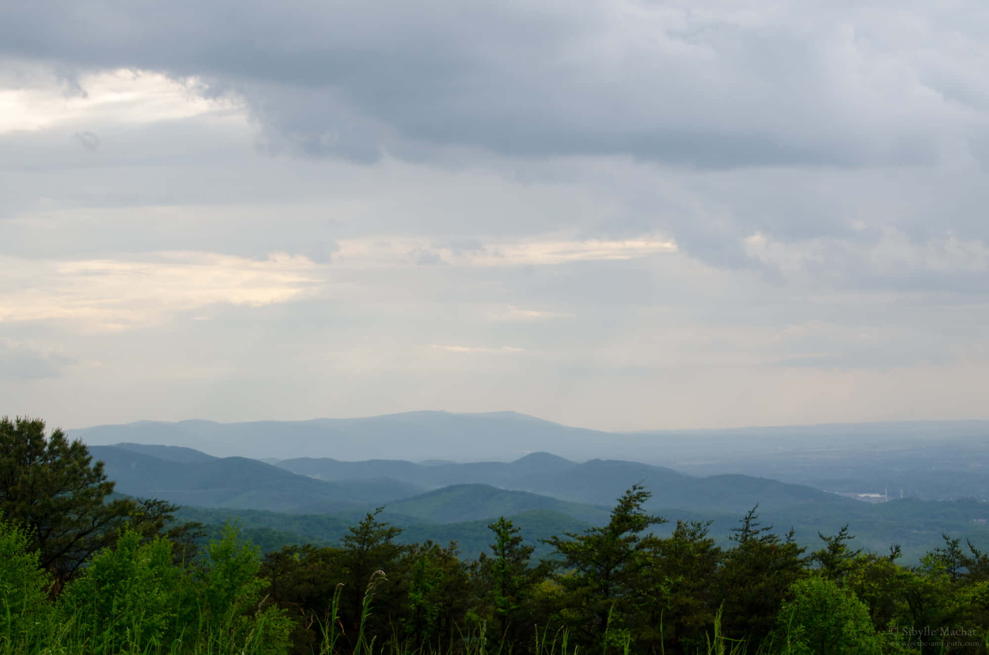 Blue Ridge Mountains, rolling green mountains, mist, Full HD Desktop Wallpaper